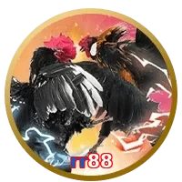 rr88
